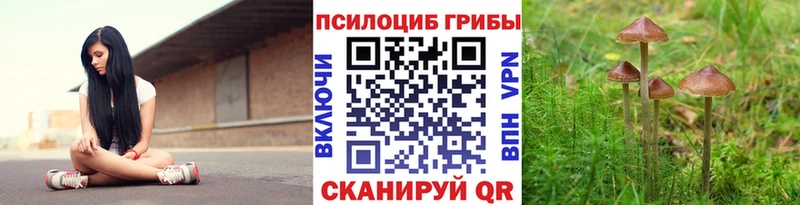 сайты даркнета клад  наркотики  Бабаево  Галлюциногенные грибы ЛСД 